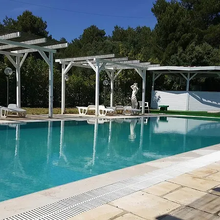 Falco D'oro Cisternino